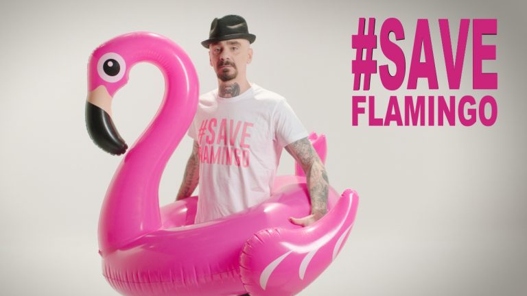 WWF, J-AX AND ARMANDO TESTA TOGETHER TO PROTECT PINK FLAMINGOS